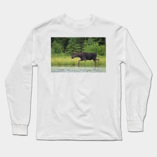 A moose in Algonquin Park, Canada Long Sleeve T-Shirt